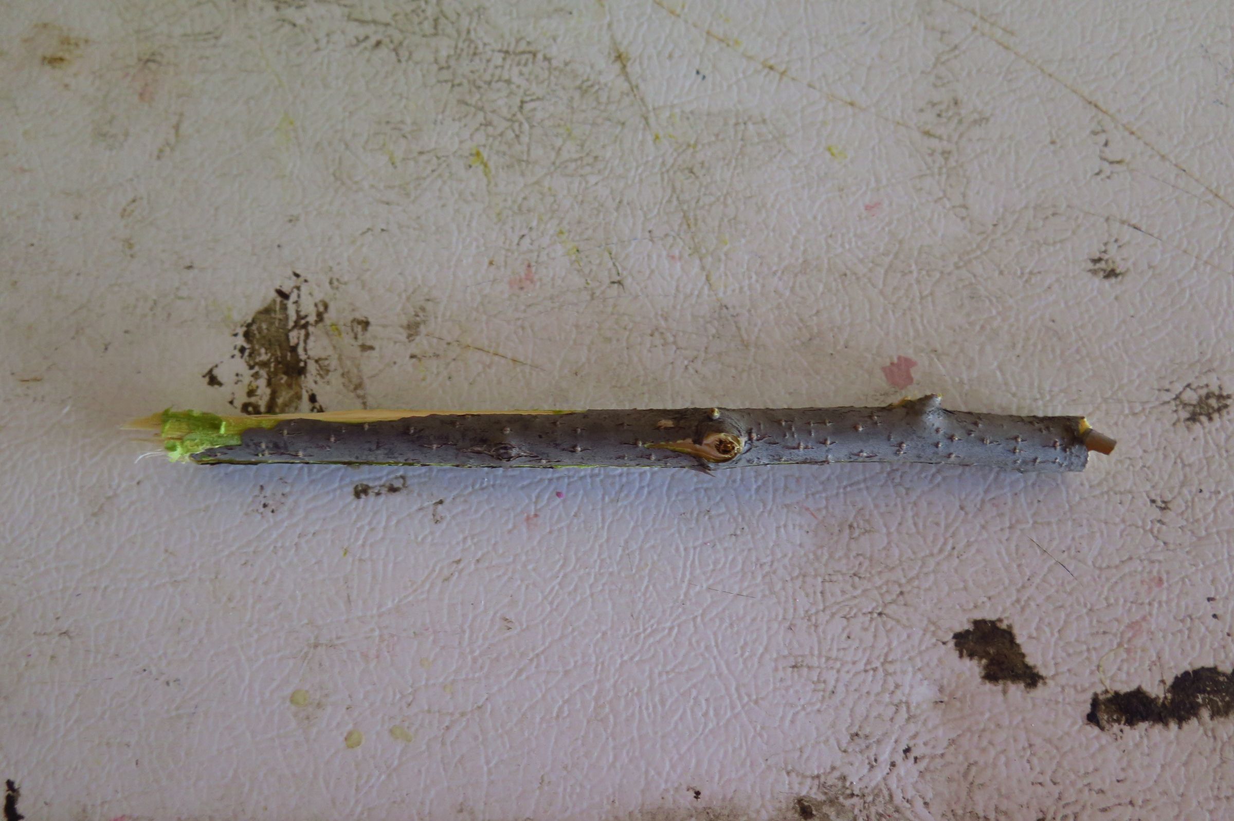 Awesome Tree Branch Pipe 9 Steps Instructables