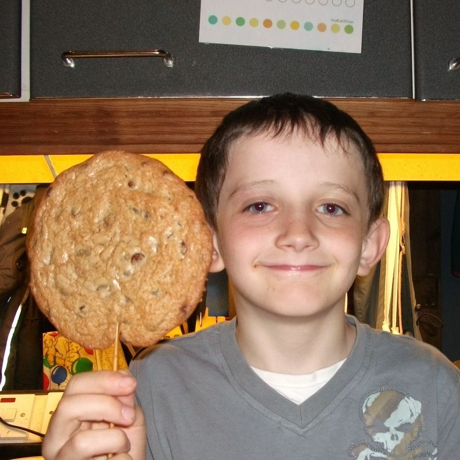 Chocolate Chip Stookies or Bis-sticks