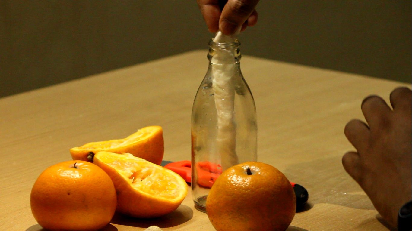 tree with orange seed pods