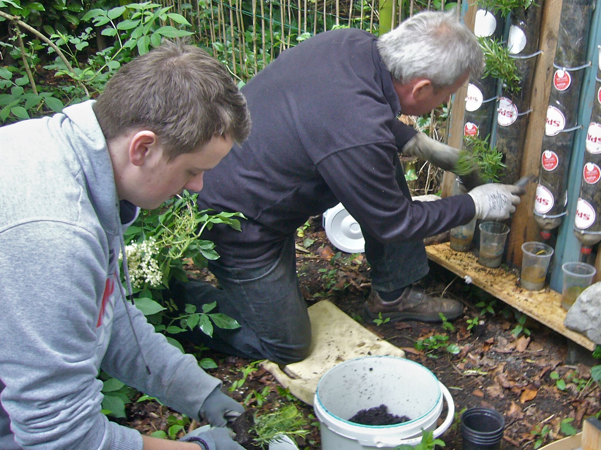 Bottle Towers on a Pallet