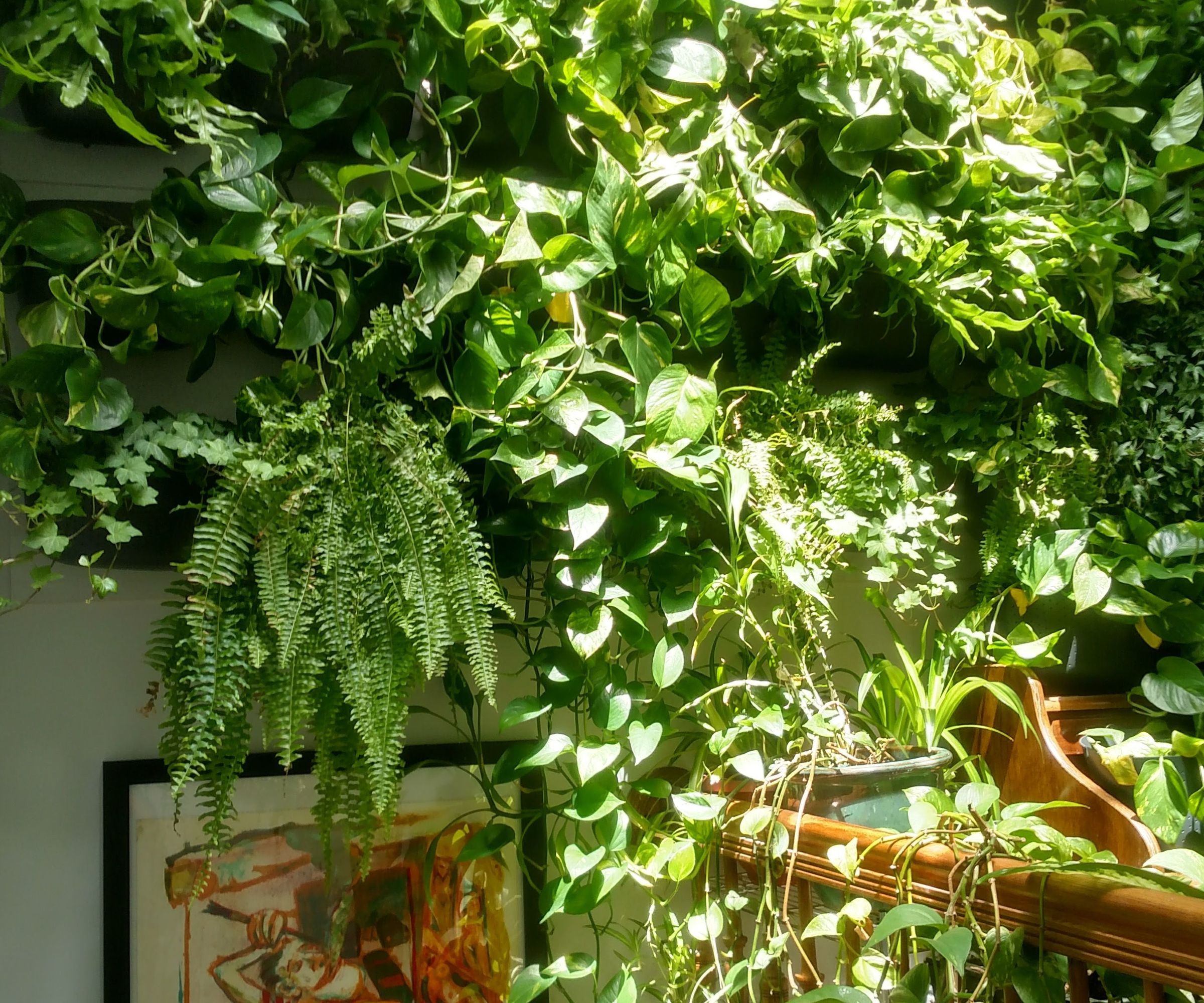 Jungle Wall: Vertical Garden