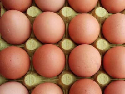 Eggs: Health Benefits and Disadvantages