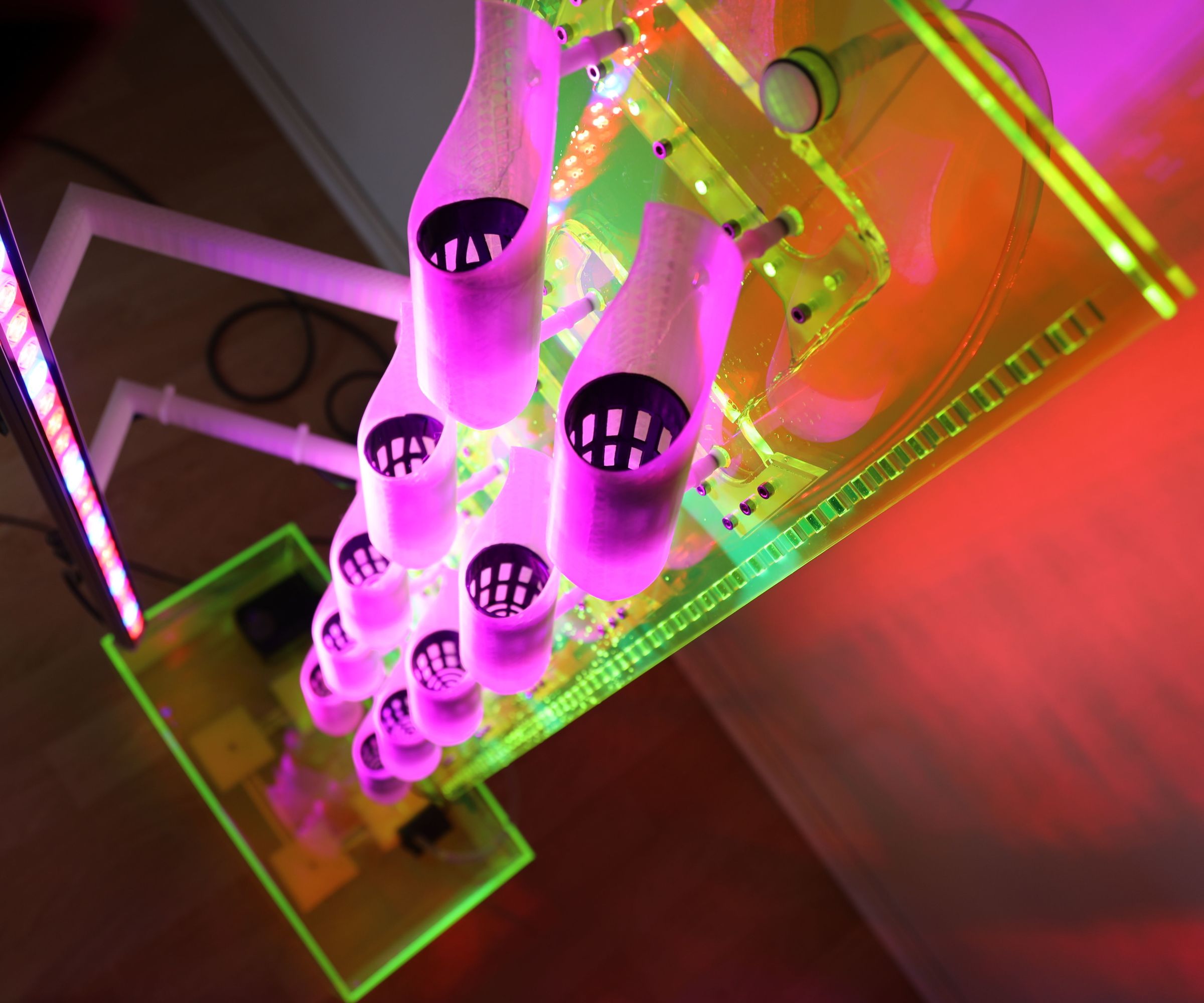 IPrunes - Aquaponics System