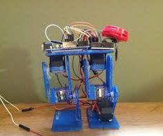 Walking Robot UMB Tech-3d Printed