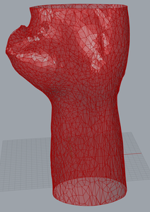 Smoothing Hand Canvas 1