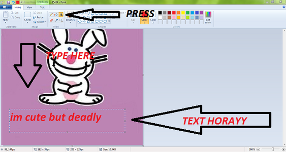 Adding Text