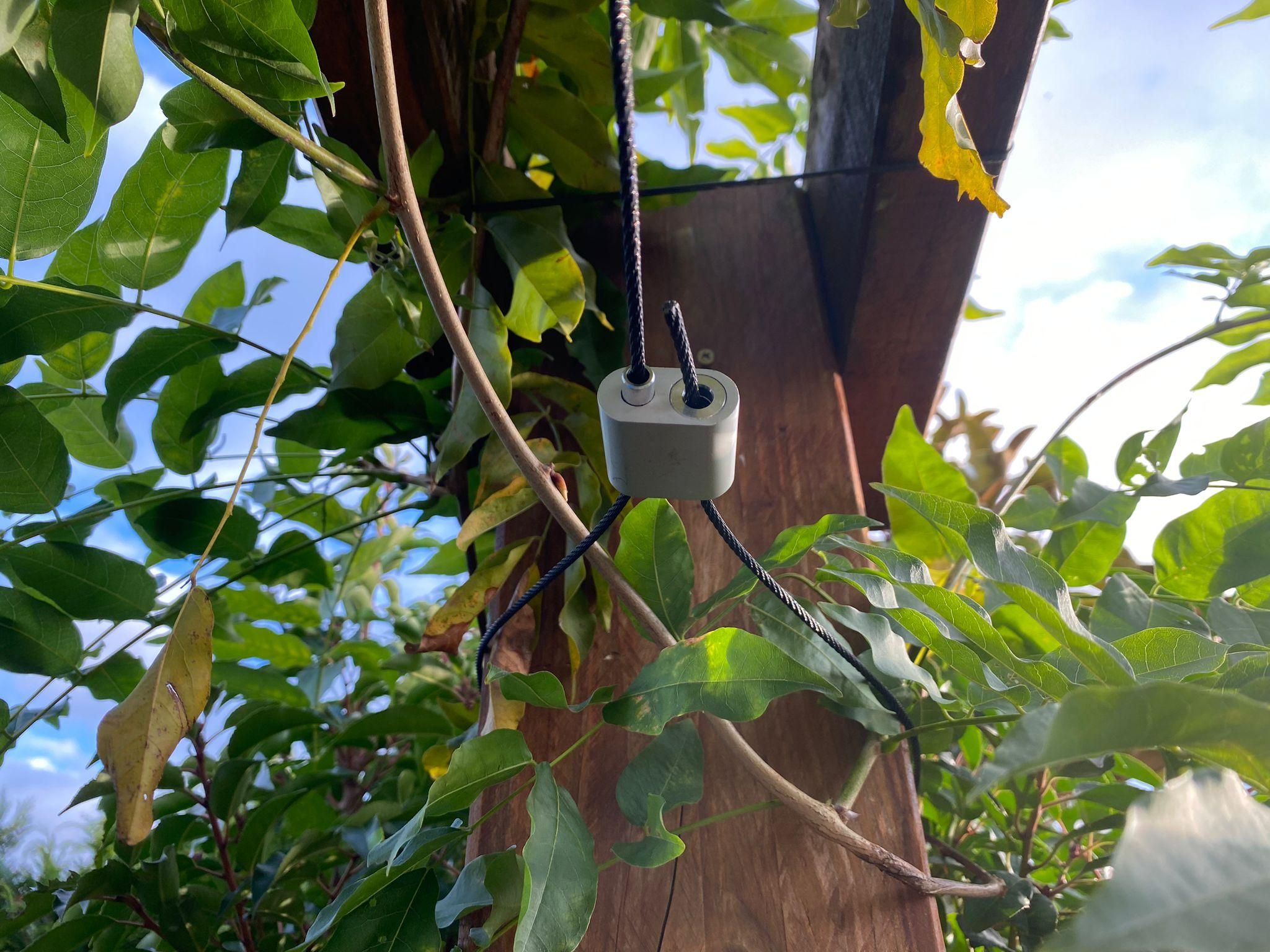 Hang Garlands Without Drilling 5 Steps (with Pictures) Instructables