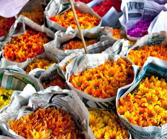 How to Plan a Flower Market and Patpong Tour in Bangkok