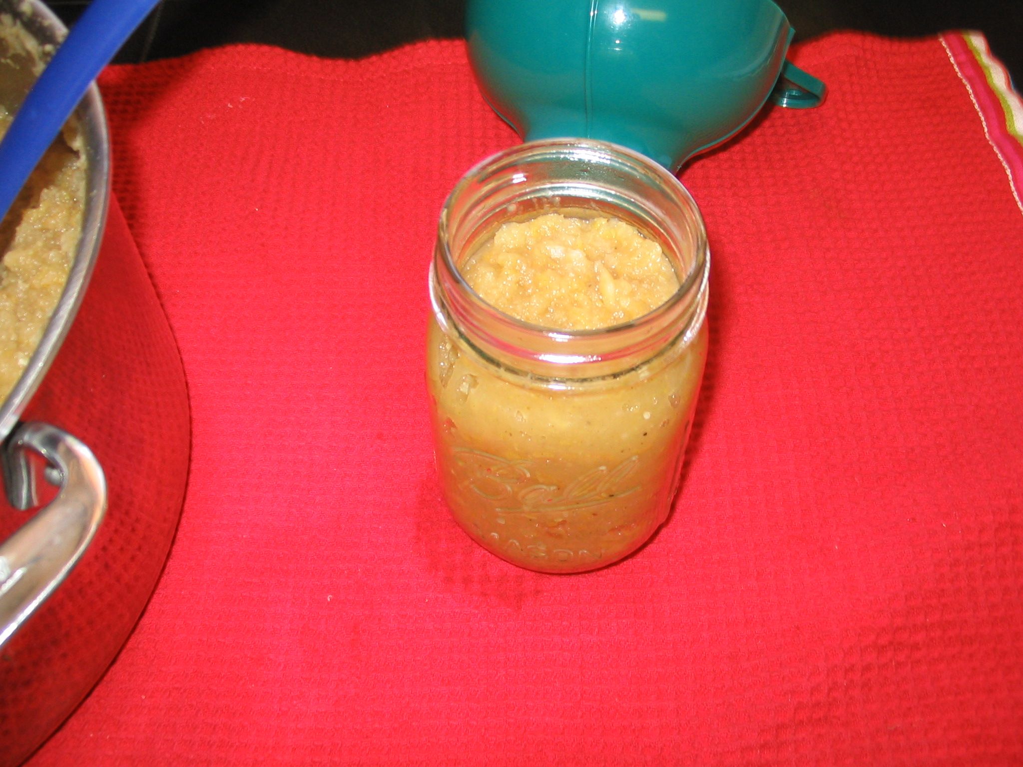 How to Make and Can Applesauce Canned Applesauce 11 Steps (with