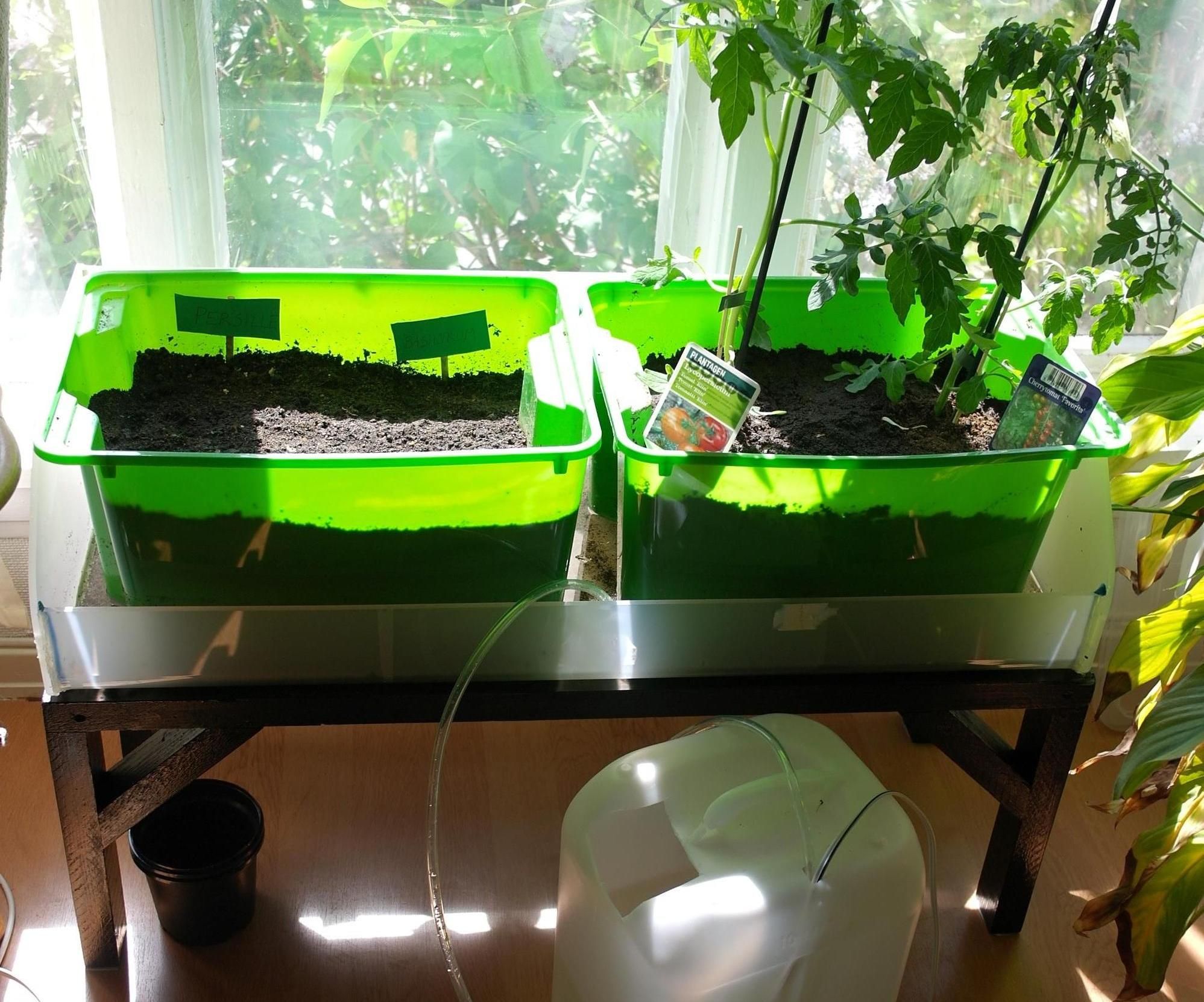 Indoor Herb Garden With Automatic Watering