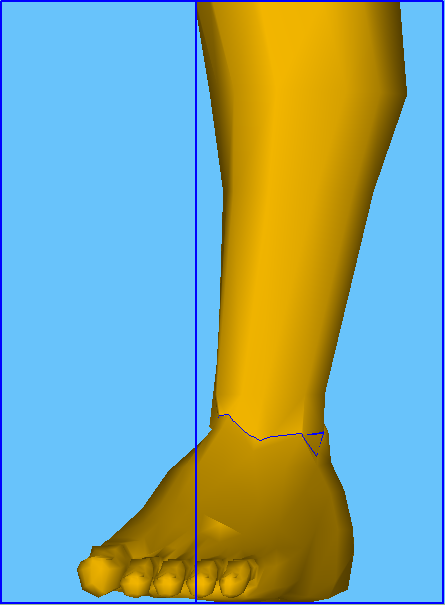Rotate and Render the 3d Object Using Only Paralel Projection