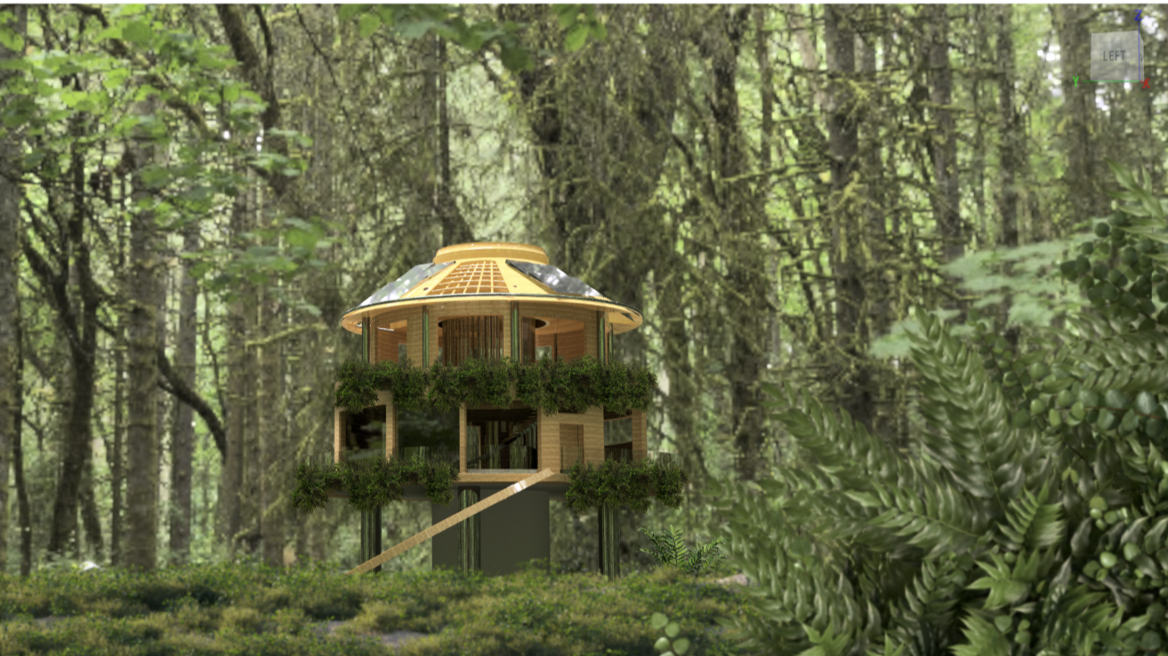 Sustainable Habitat in Amazon Rainforest