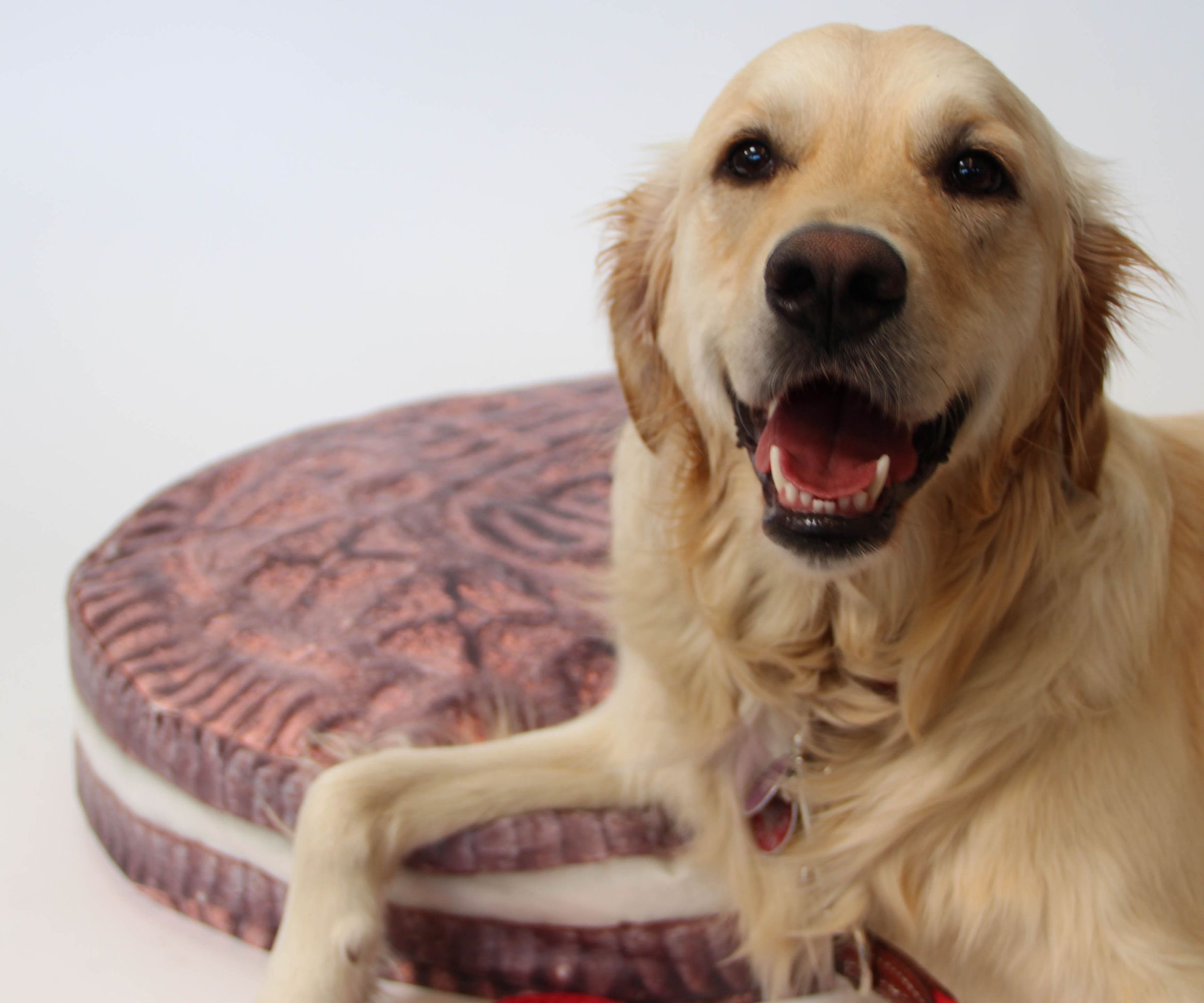 Double Stuff Dog Bed