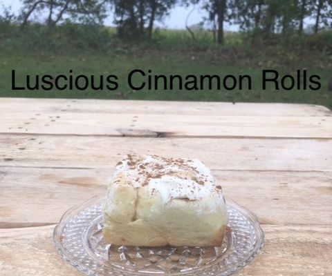 Luscious Cinnamon Rolls With Cream Cheese Icing