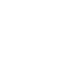 download {{ file.name }}