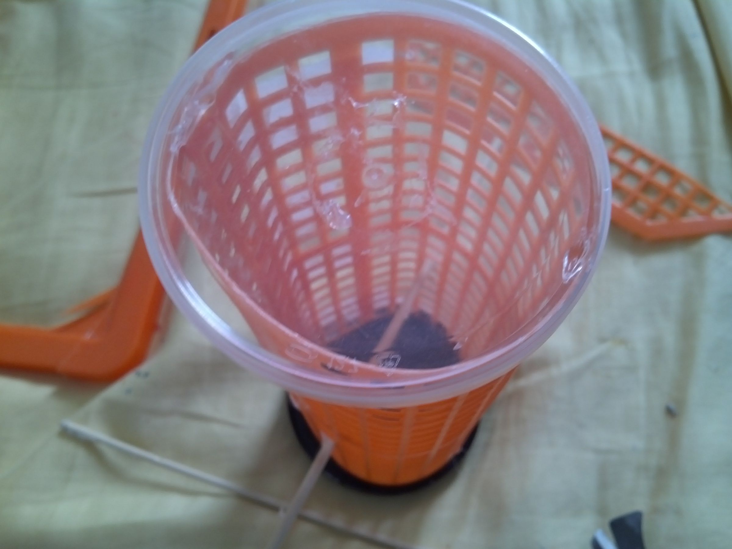 Make a Easy Tube Bird Feeder