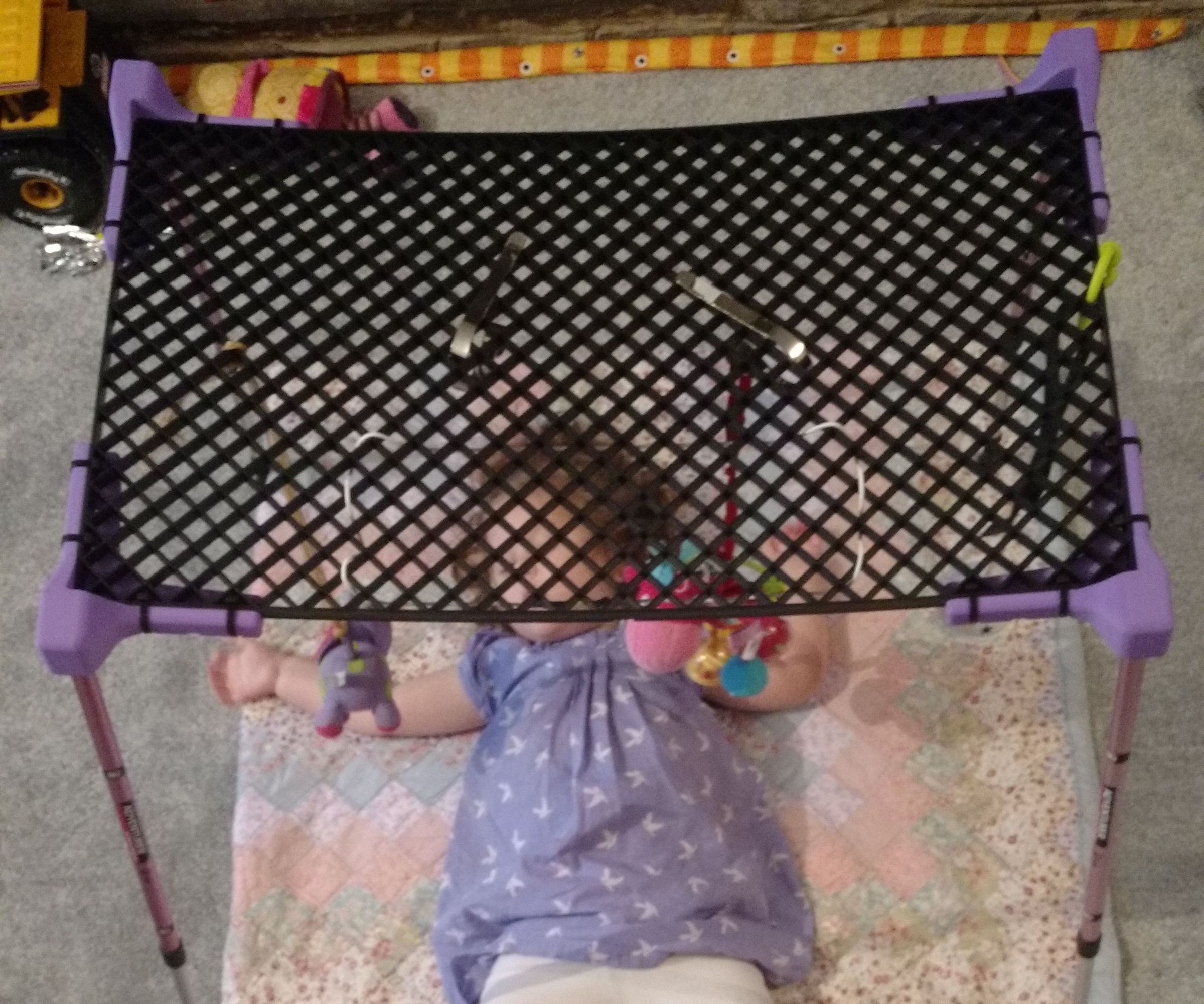 Mobile/Play Gym