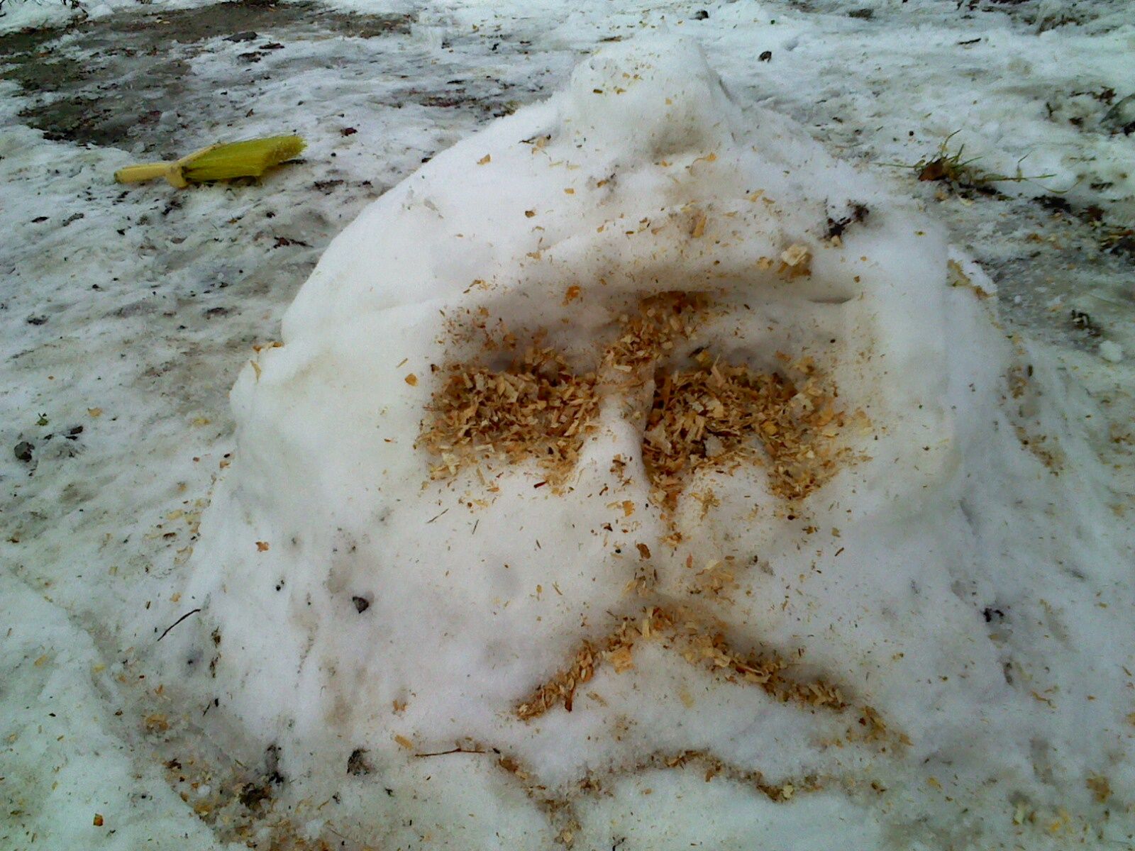 Snow Clone Trooper Helmet