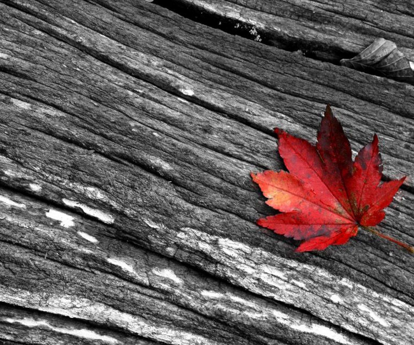 How to Make Video Black and White?