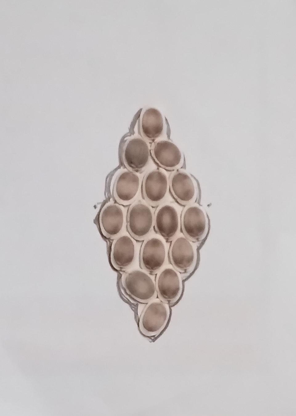 Drawings Using Paper & Pencil