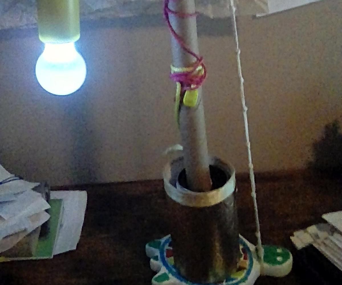 A Turtle Lamp