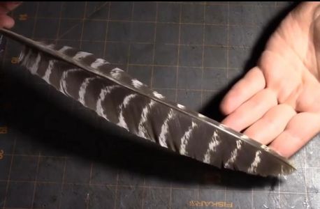 Tracing and Cuting Out the Tip of the Feather 