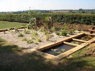 Hydroponic Bog Garden (Water Recycling)