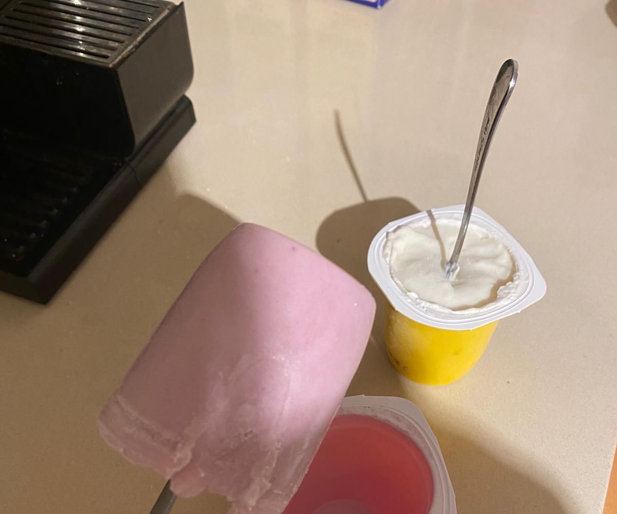 A Guide to Making Wonderful Ice Cream From Any Delicious Yogurt You Choose