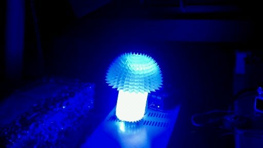 Play Time!  I Turned on the Lights...