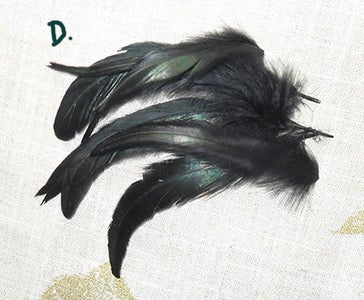 A Bit About Feather Types