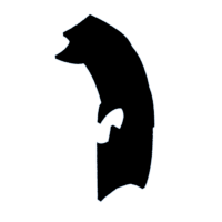 download {{ file.name }}