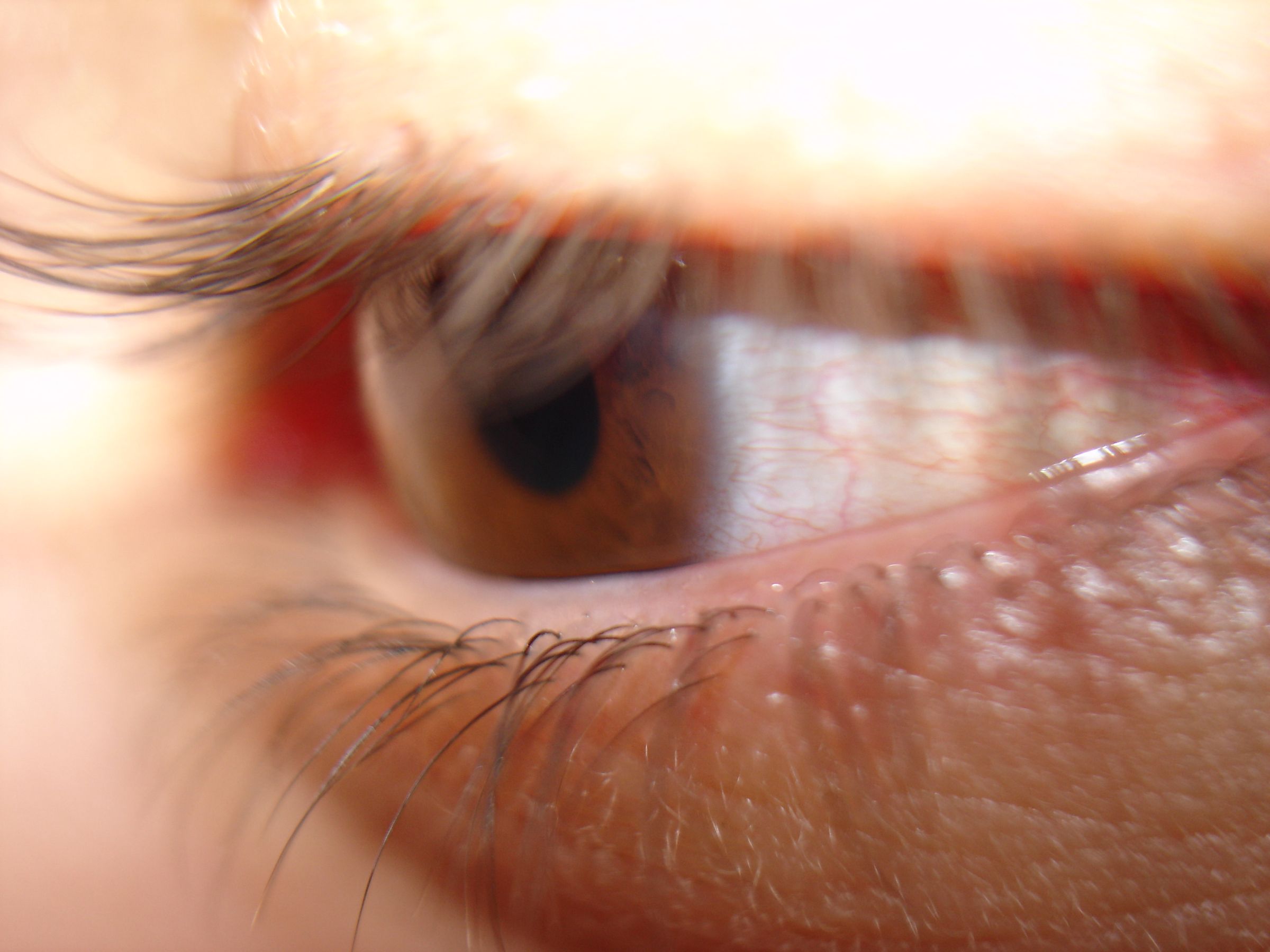 Old Digital Camera HACK for Macro Photography