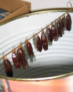 Electroforming an Iris Seed Pod