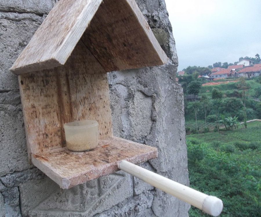 Simple Bird Feeding House