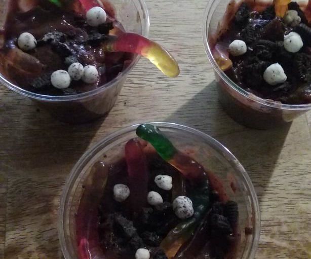 Dirt 'N Worms