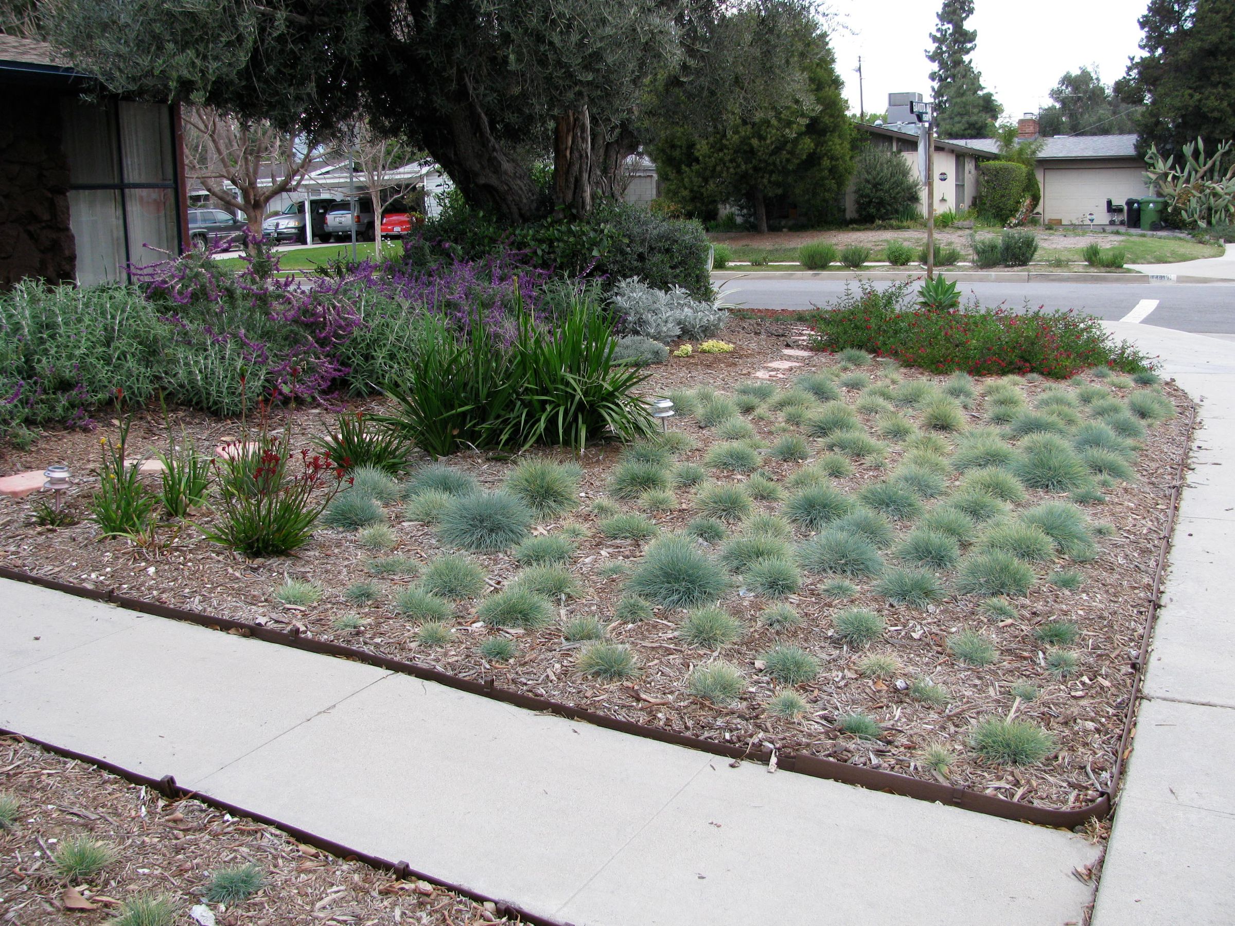 Smother and Replace Your Lawn With Mulch 10 Steps (with Pictures) Instructables