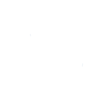 download {{ file.name }}