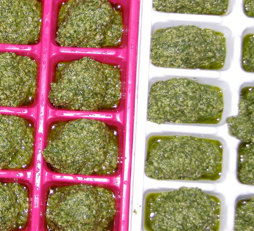 Pesto Freezing Method