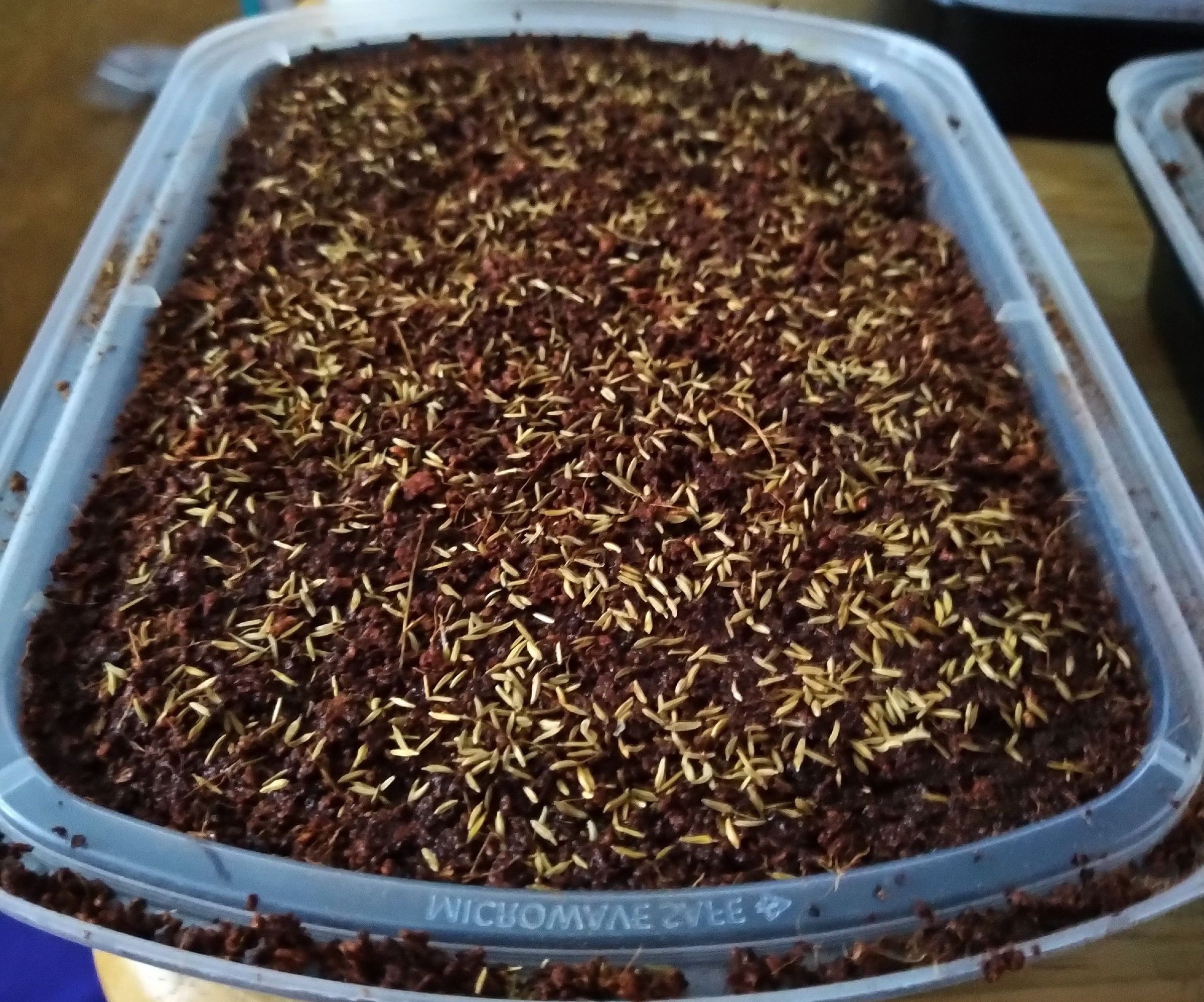 *Experimental* Harvest 100's of Self Watering Microgreen Trays Under $60