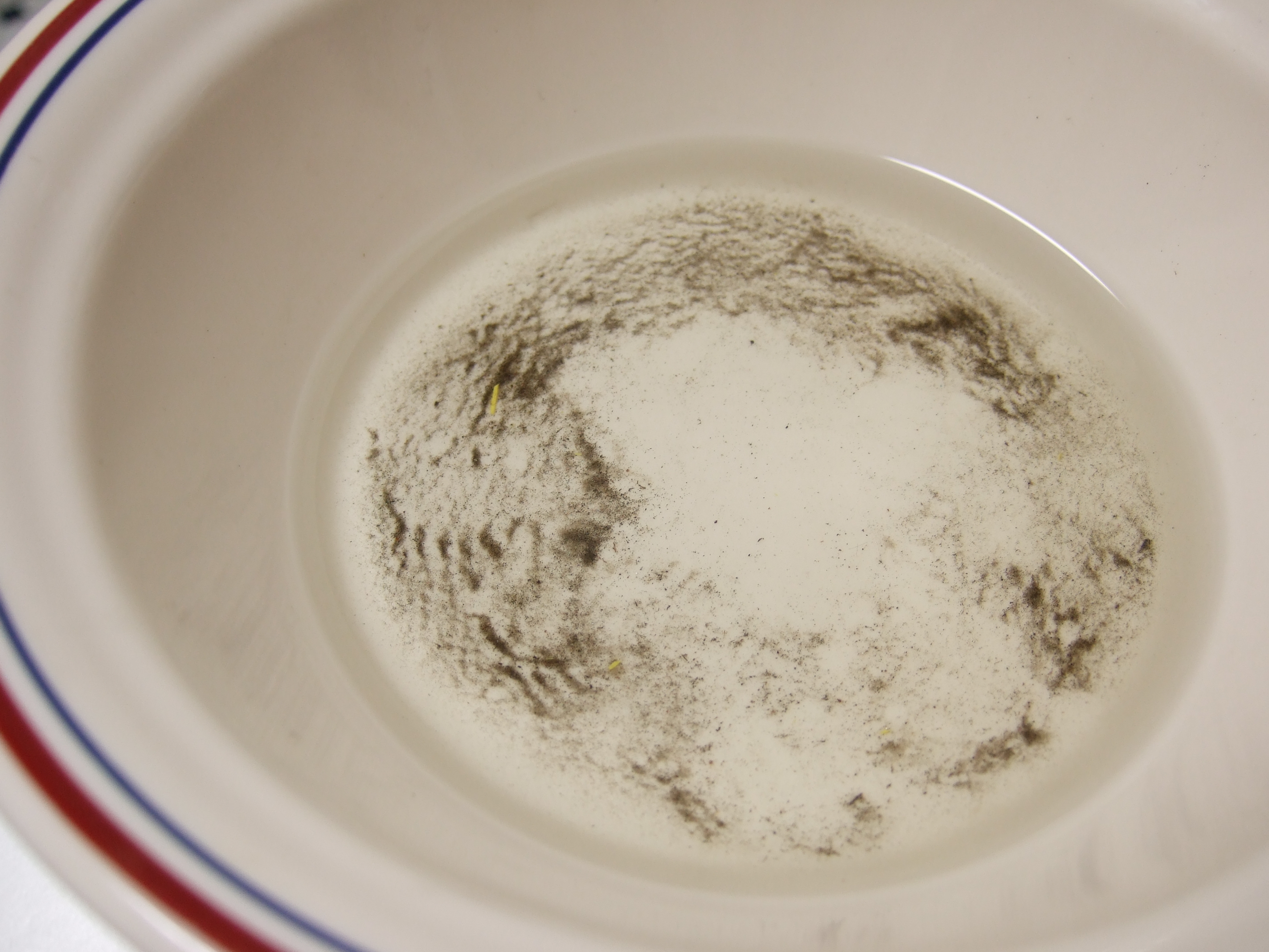 Clean and Grease Your Skateboard Bearings 6 Steps Instructables