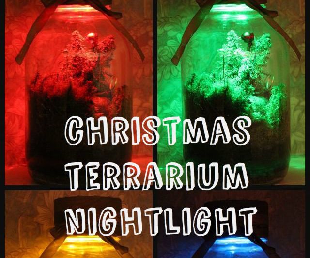Christmas Terrarium Nighlight