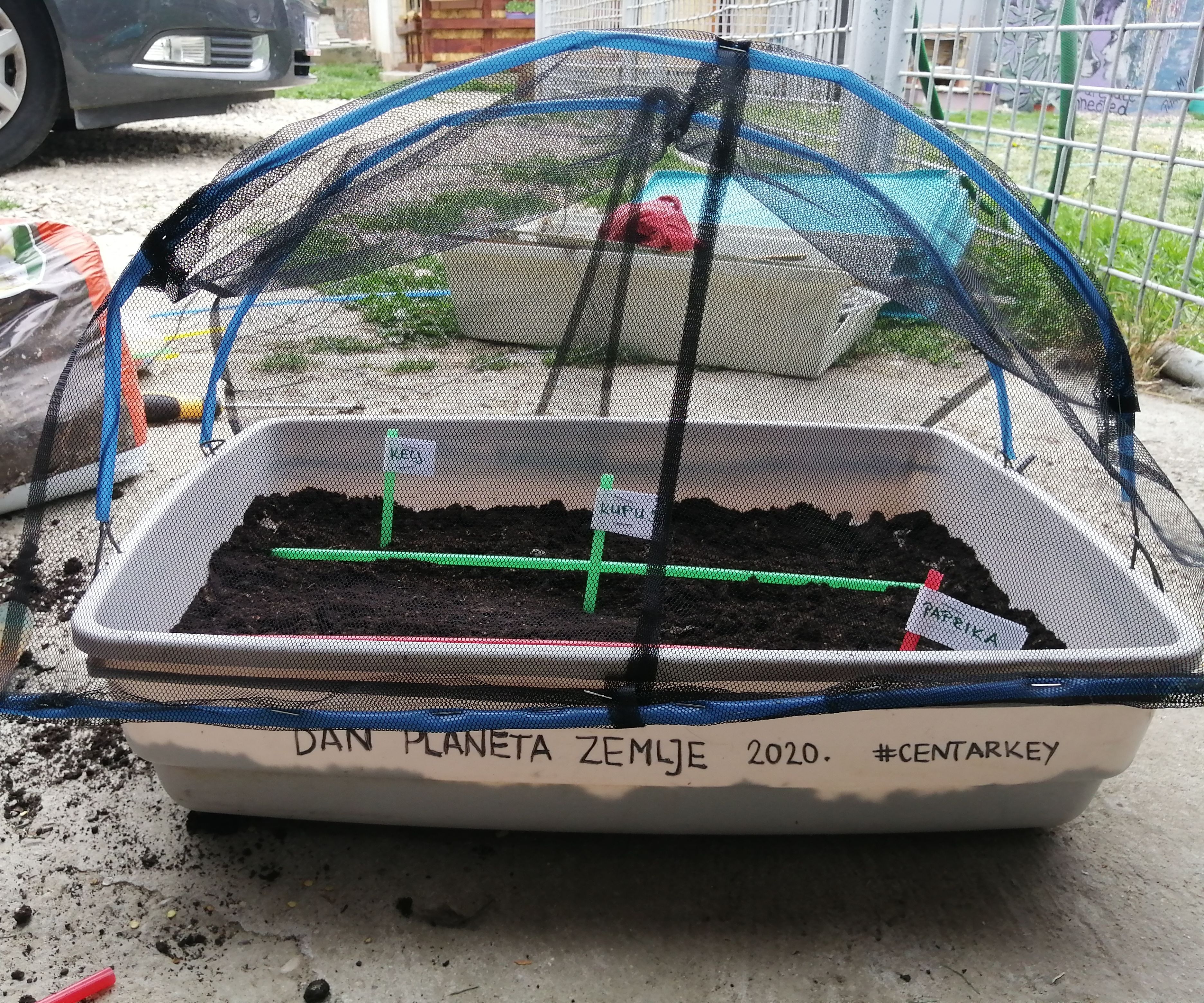 DIY Recycled Mini Greenhouse