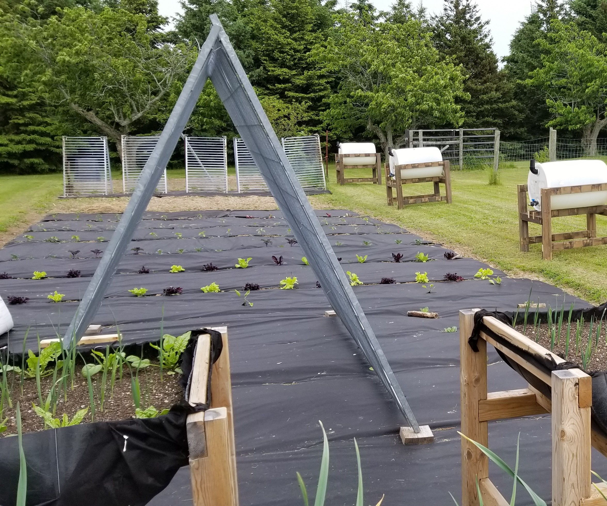Preparing to Water the Garden