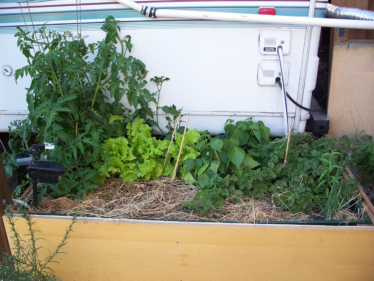 Large Self-Watering Planter + Rain Water Storage UPDATE