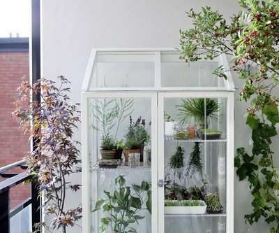 Thumbelina: an Automated Indoor Greenhouse