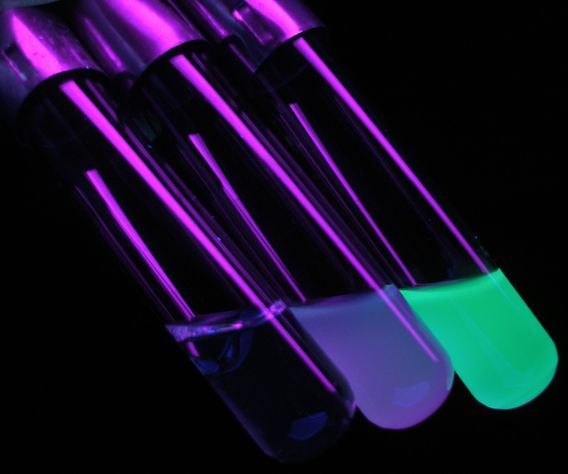 Creating a Bacterial Culture with Proper Sterile Technique