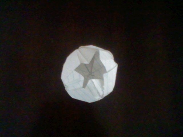 Paper Lotus Flower