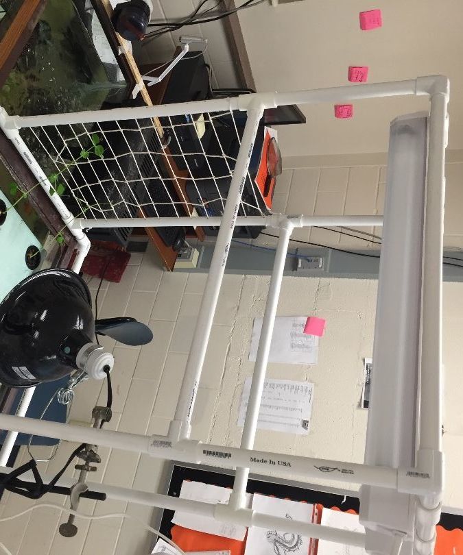 PVC Light Stand