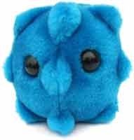 Home Remedies for the Common Cold