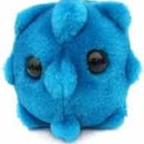 Home Remedies for the Common Cold